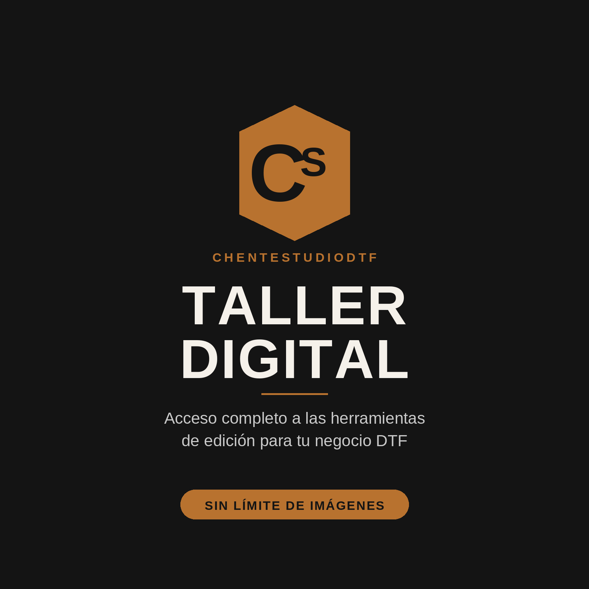 Acceso Taller Digital